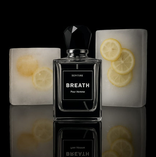 Sentire Breath Pour Homme – Premium Long Lasting Perfume for Men (100ml)